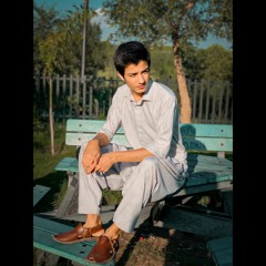 Mohammad Ali Hamza