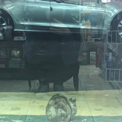 향기