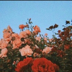 (PROD.CADIER)