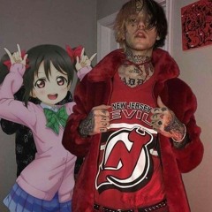 MIMIK