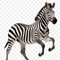Lil Pinstripe