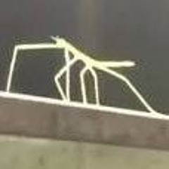 ken