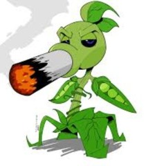 Peashooter_PvZ