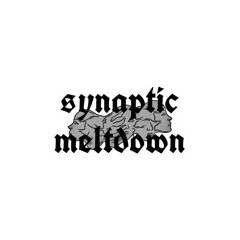 Synapticmeltdown