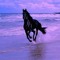 Hany Mohamed