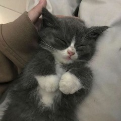 Mia:)