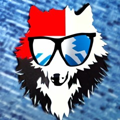 The She-Wolf of France