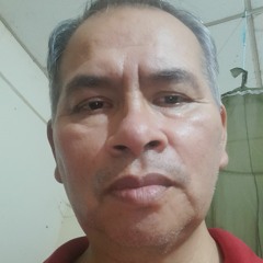 Osvaldo Daniel Illanes Velarde