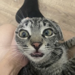 lmlmzhk123