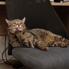 Андрей Филимонов