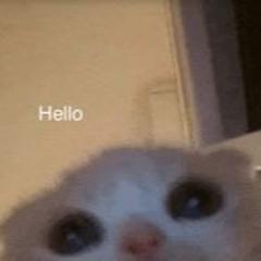 wasnthere
