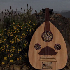 Majd Zaghal