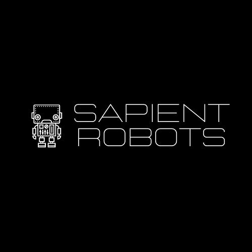 Sapient Robots Records’s avatar