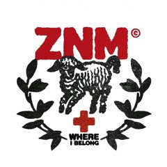 znmArchive