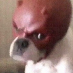 FrenchBulletfromCzech:)