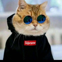 ✧⑉Koncleng⑉✧