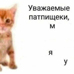 скарамуча