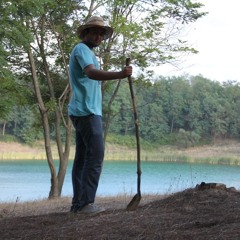 Arif