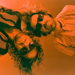 The Darcys