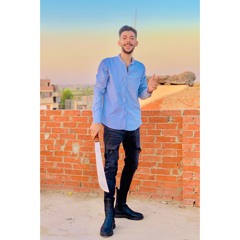 شوقى عصام الدين