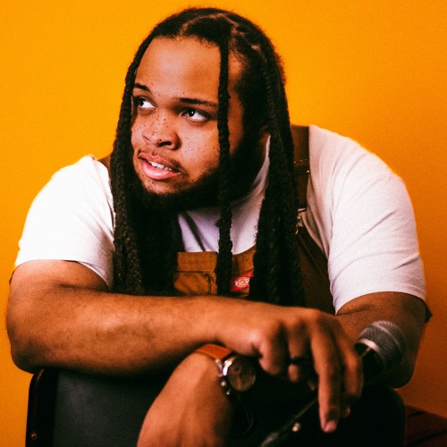 Chris Brown - Remember My Name (Kid Travis Cover)