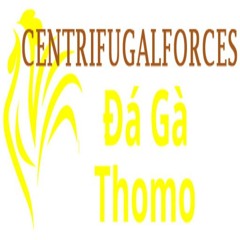 Đá Gà Trực Tiếp Thomo