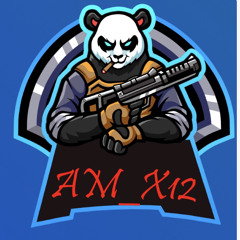 AM _X12