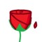 Rose-p