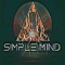 S!mple M1nd (V!P)