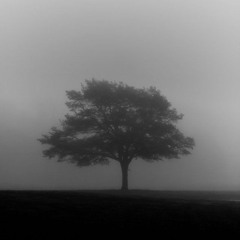 Untitled Playlist