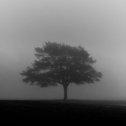 Untitled Playlist