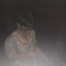 fied_420