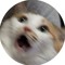 Felix187