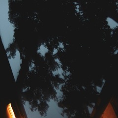 treesoutside