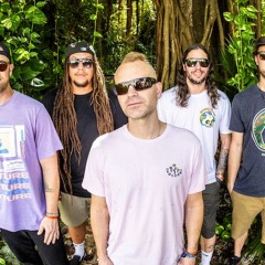 TheMovementVibe