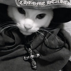 MXTTPICCOLACAPRA (CEO OF TRAP)