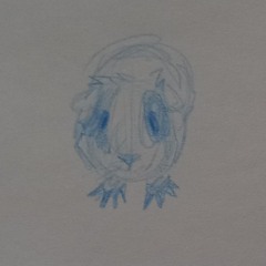 teott