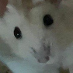은똥