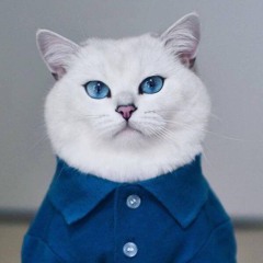 Đặng Thành Chung