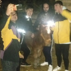 Galix