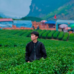 Thái Sơn