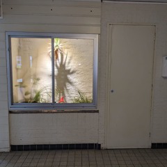 Ali Ahmed Salah Hanafi