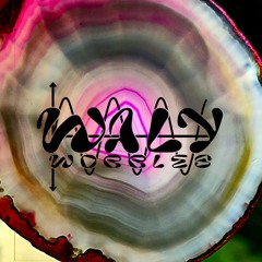 waly.wobbles