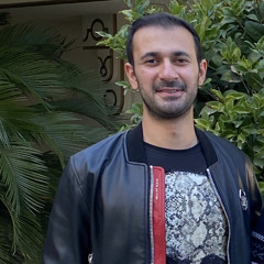 Mojtaba Hashempour