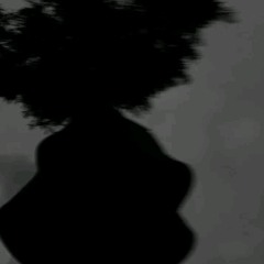 ThEsuspect