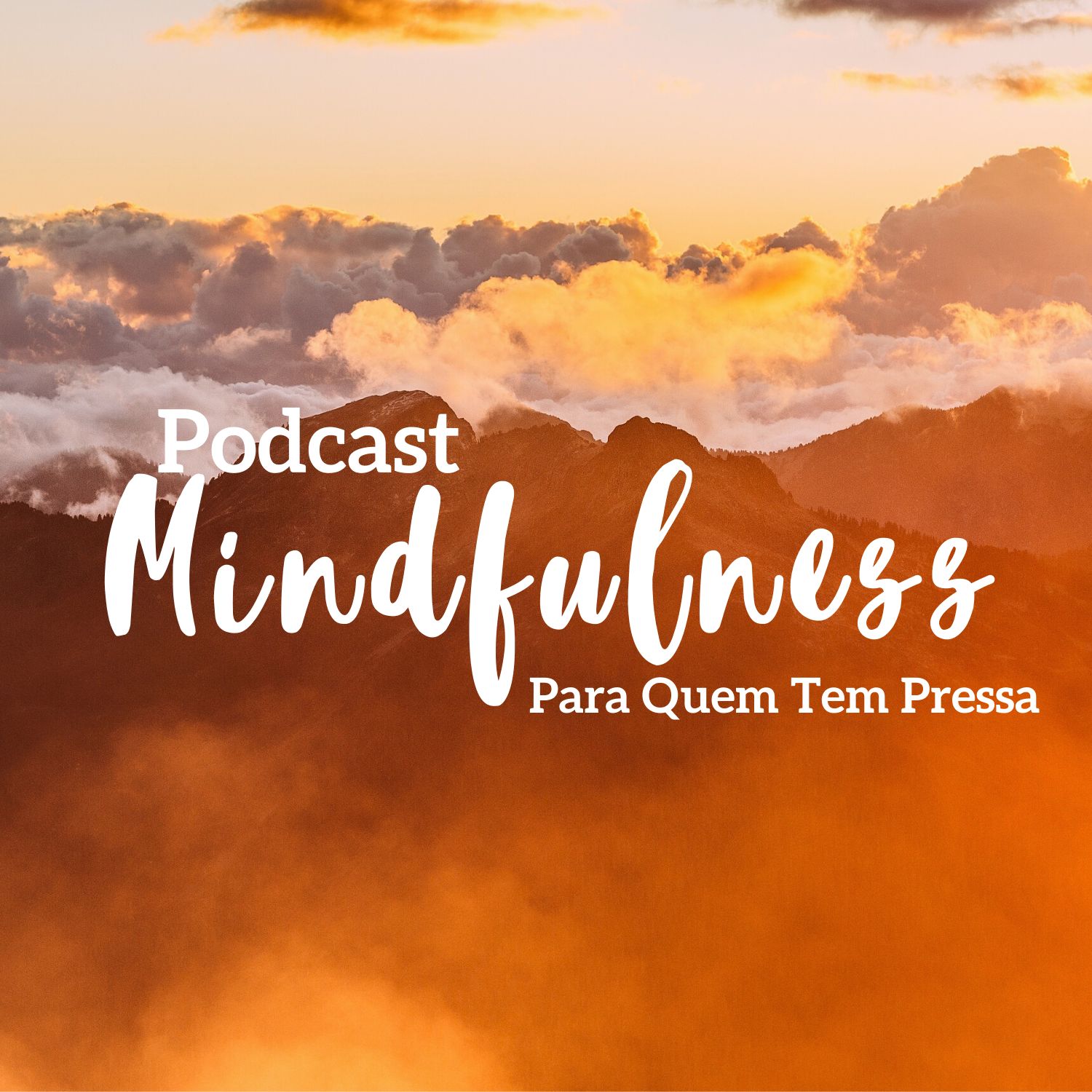 Mindfulness Para Quem Tem Pressa