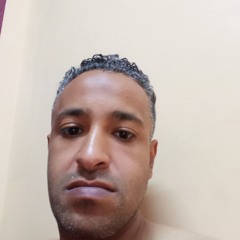 tarek mando