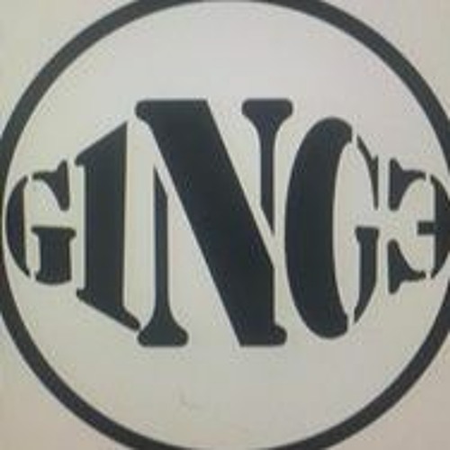 G1NG3’s avatar