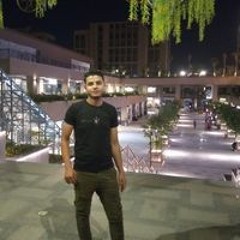 حسين حبيشي