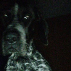SPITEN DJ